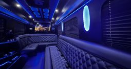 Used 2015 Mercedes-Benz Sprinter 3500 170 Ext Limo By Grech For Sale
