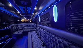 Used 2015 Mercedes-Benz Sprinter 3500 170 Ext Limo By Grech For Sale